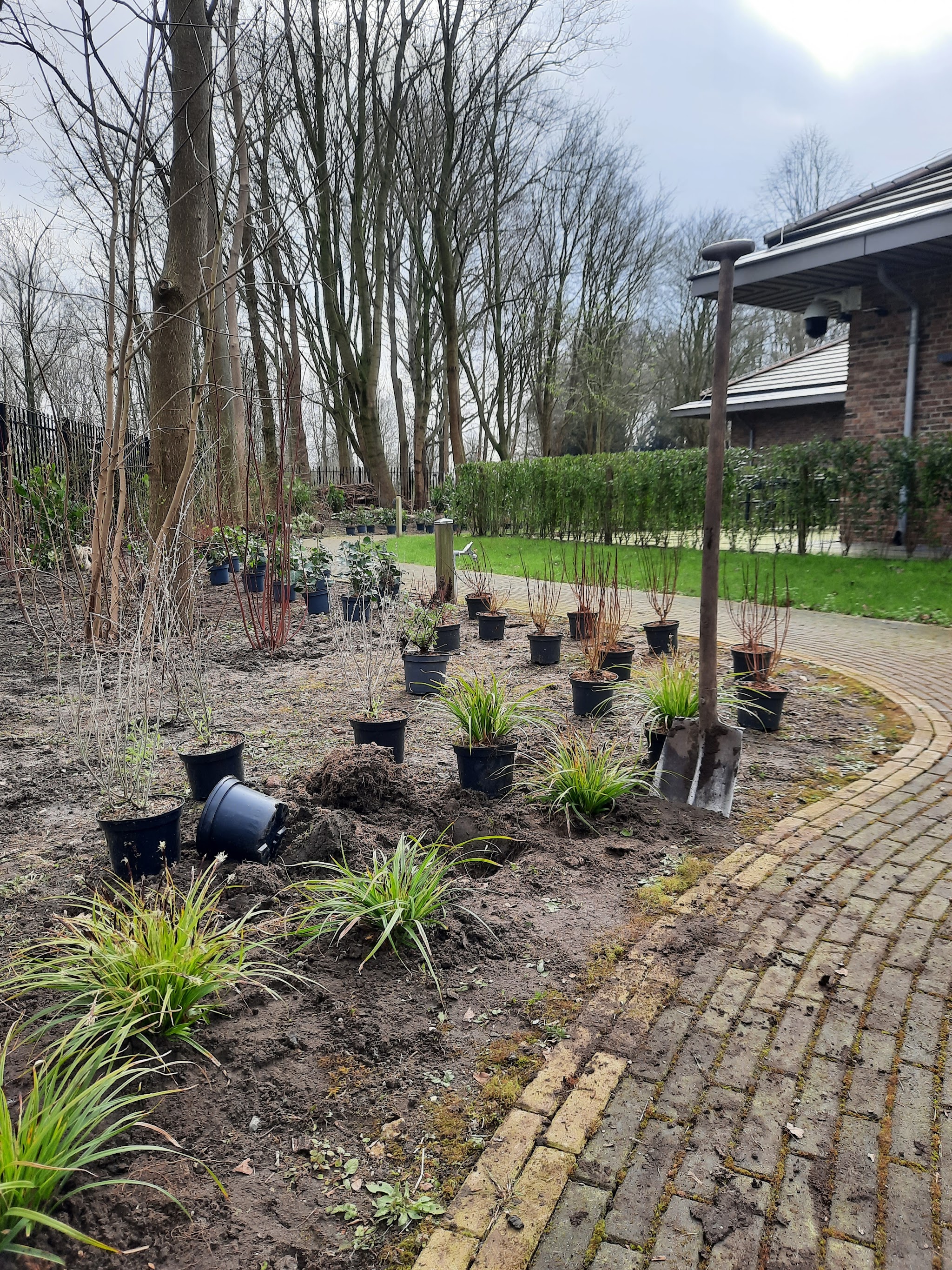 Een border met nieuwe planten langs een klinkerpad